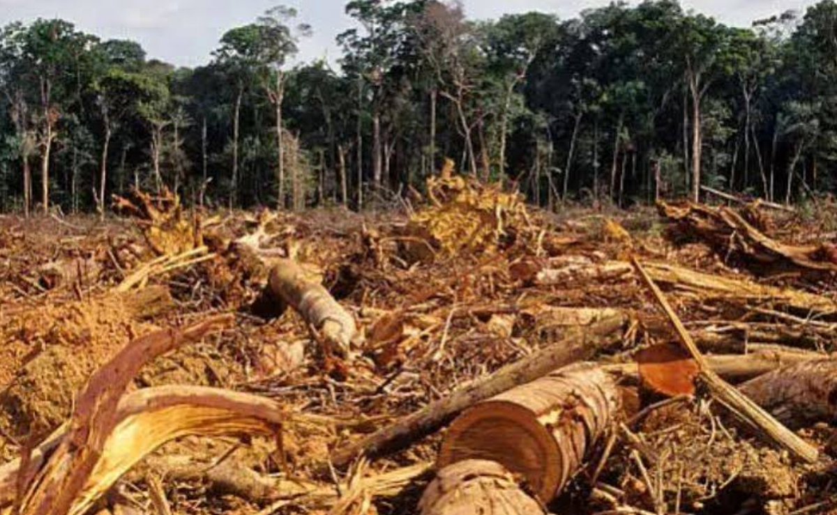 Stripping the Amazon rainforest of its balsa wood for wind turbine blades isn't green. Industrial scale turbines use hundreds of tonnes of steel, aluminium, plastics, copper, &amp; rare earths in magnets. There's a tonne of gear oil &amp; hydraulic fluid on board. The 25 to 18 tonne