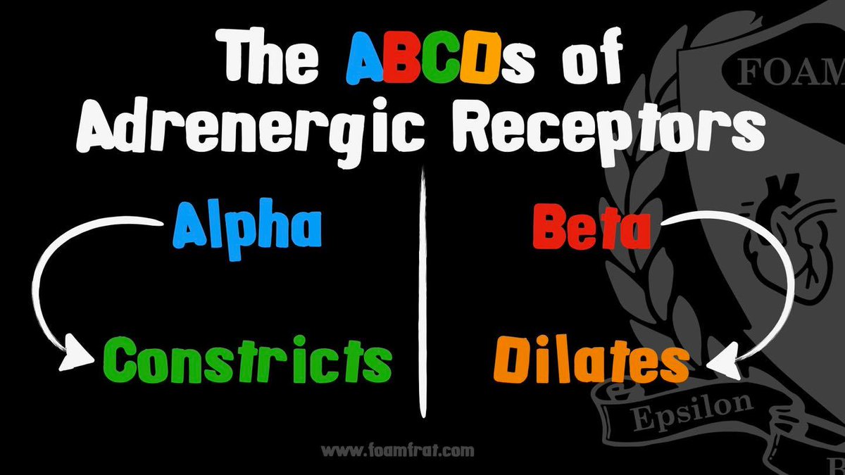 The ABCDs🔡 of Adrenergic Receptors