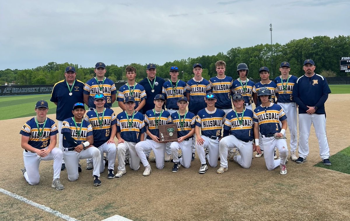 Baseball Update - the Hillsdale Falcons are the 2025 District Runners-up!