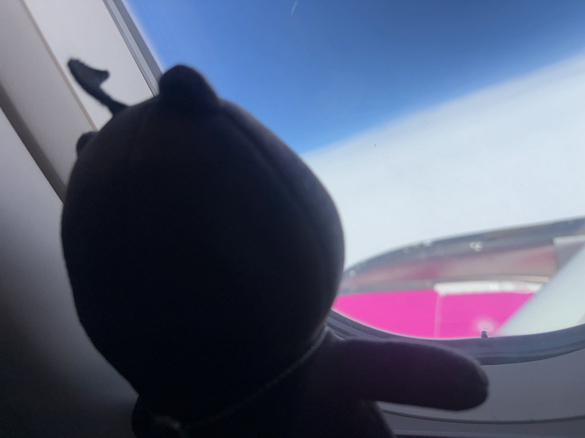maa_owo's tweet photo. うちのごんたも初の飛行機でした☺️🛩 https://t.co/OFsLWaL7rs