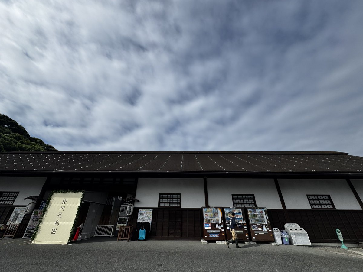 掛川花鳥園「#ことり万博」の朝がはじまるよー
お楽しみにーー！
開園9時、ことり万博は10時からの開催です