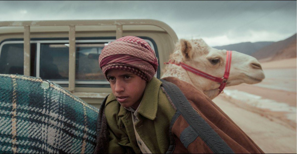 #فيلم_الليله هجان 🍿