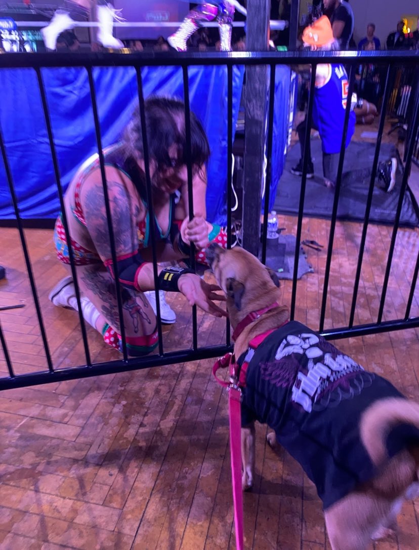 My son Kyle me and our Rocco are so honored to sponsor this awesome match between <a href="/realSammiChaos/">Sammi Chaos</a>  <a href="/the_gnomie/">Gabby Forza</a> July 19 at The Respect show. 2 of our favorite people. We love and respect you both. #Sammivsgnome #Everyonesnightmare #Thegnome