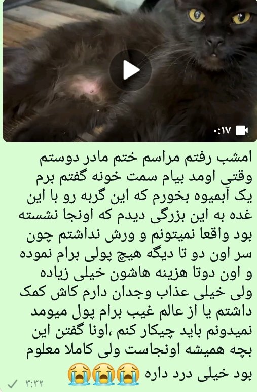 behesht_shirin's tweet image. 