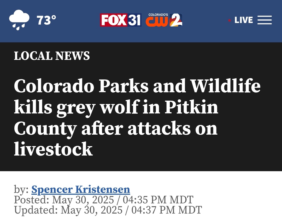 So now the government is killing the very wolves it kidnapped and flew down here.

Can we finally agree that wolf relocation has been a complete disaster?