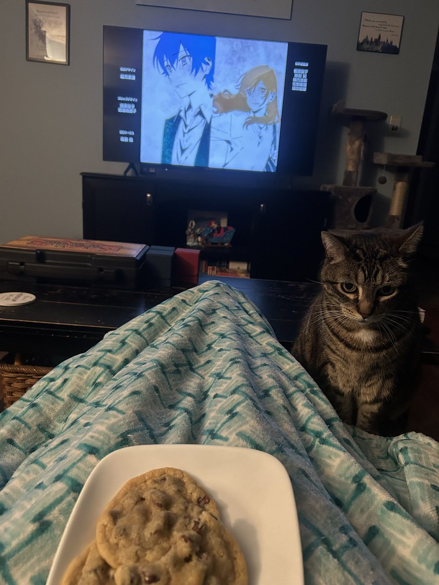 Anime, cookies, and kitties!