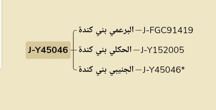 MMm1823220's tweet photo. 3. الجنيبي بني كندة

لا يزال تحت التحور العام: J-Y45046*

علامة النجمة (*) تدل على أنه لم يُسجَّل له تحور فرعي خاص بعد، مما يعني أنه يمثل الجذر الأصلي لهذا الخط دون تفرع جيني جديد حتى الآن.
#By111
  تحور كندة https://t.co/JGmcQqhF3x