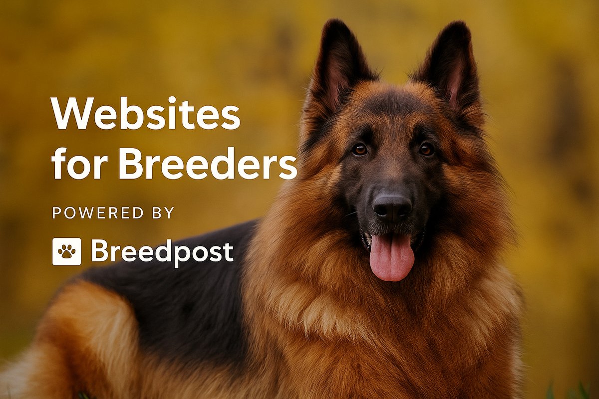 breedpost's tweet image. 🚨 New Breedpost Demo Site!
See how you can showcase multiple breeds, pedigrees, breeding pages &amp;amp; more — all with no coding.
👇 Check it out: demo.breedpost.app
#dogsoftwitter #breeders #websitebuilder #pedigrees