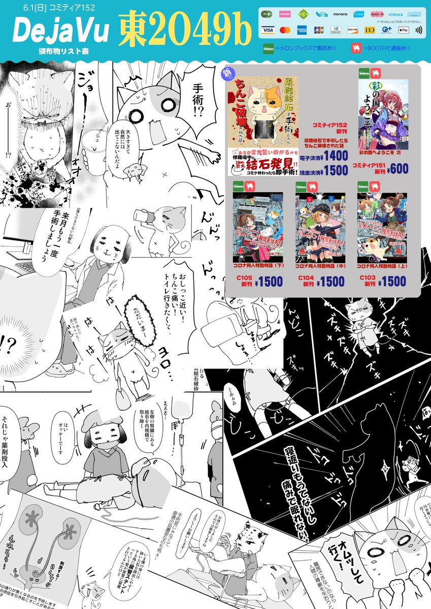 6/1(日)コミティア152のお品書きです⛵️
今回の新刊は
誰にでも起きる可能性のある結石手術本です
新刊のみ新刊コミティア当日限定電子決済割引やります
割引は初回のみです
Dejavu 東2ホール O49b #COMITIA152 #コミティア152