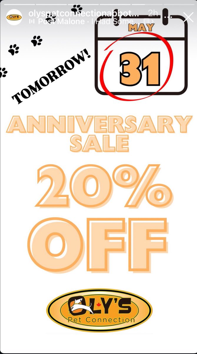 Kirk Oly's- Associate NSM Sports Management (@kirkolys) on Twitter photo 