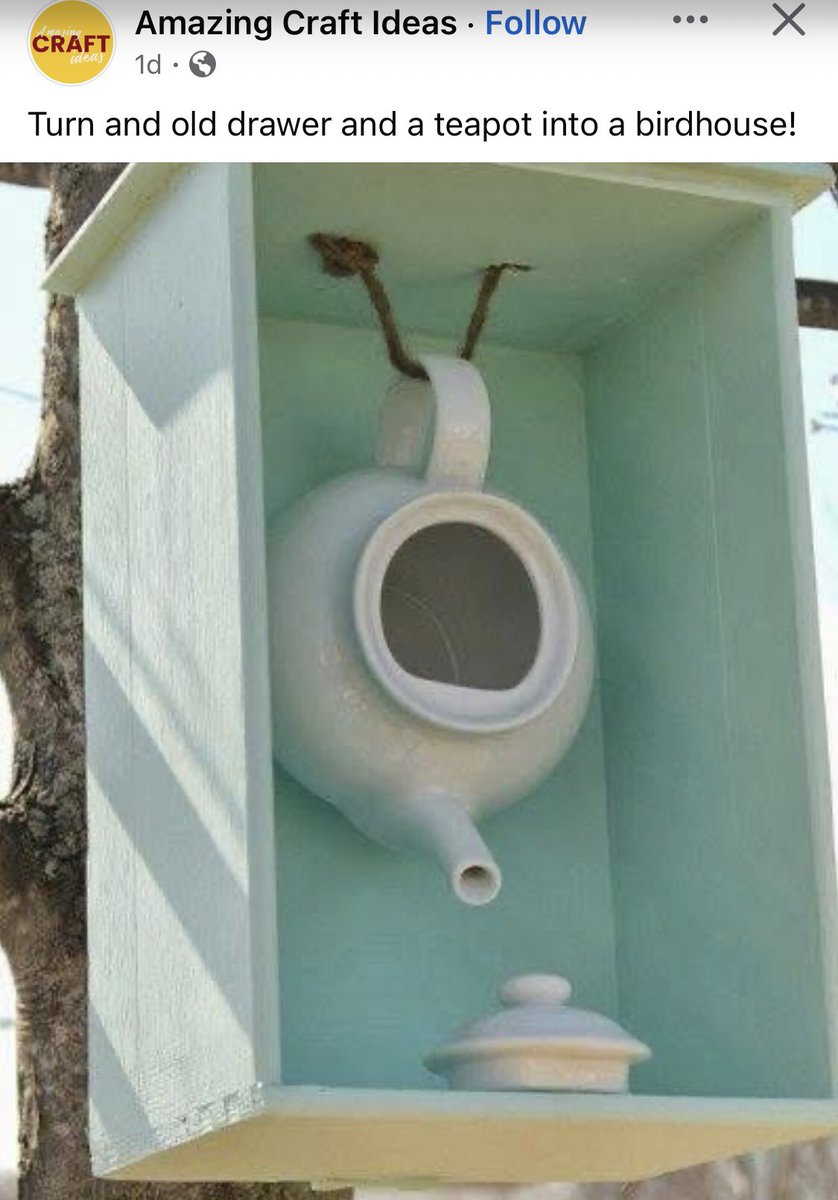 This is an awesome craft project, but use one with a smaller opening.  Birds need to be able to defend their nest from larger birds.  💕💕💕