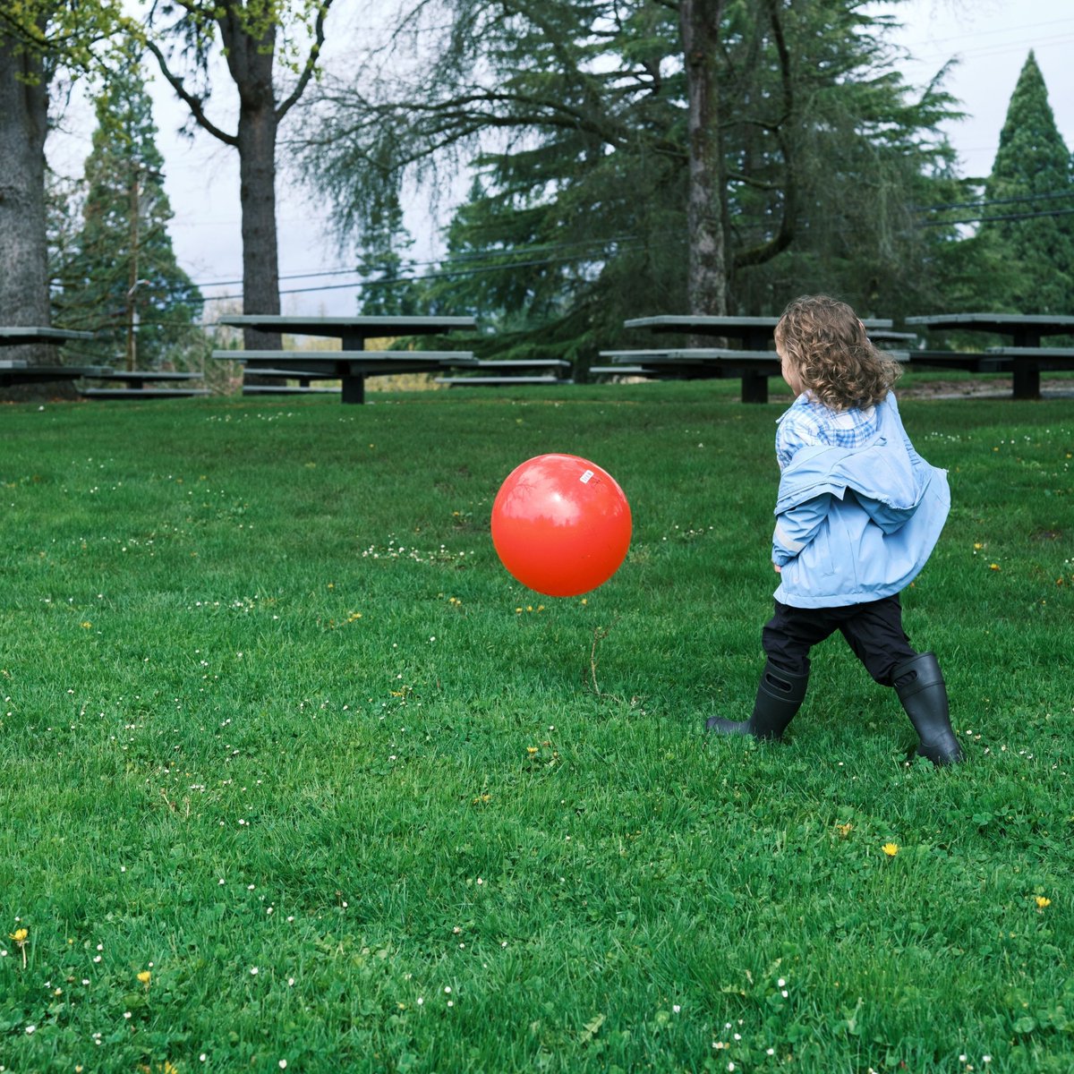 Bogs Footwear tweet media