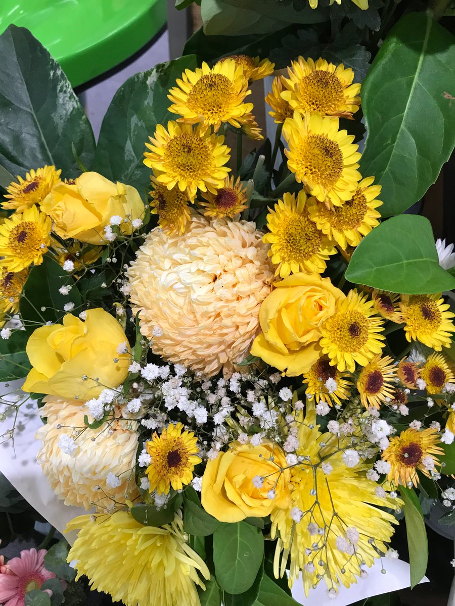 Gratitude is a magnet for miracles .
#gratitude #magnet #miracle