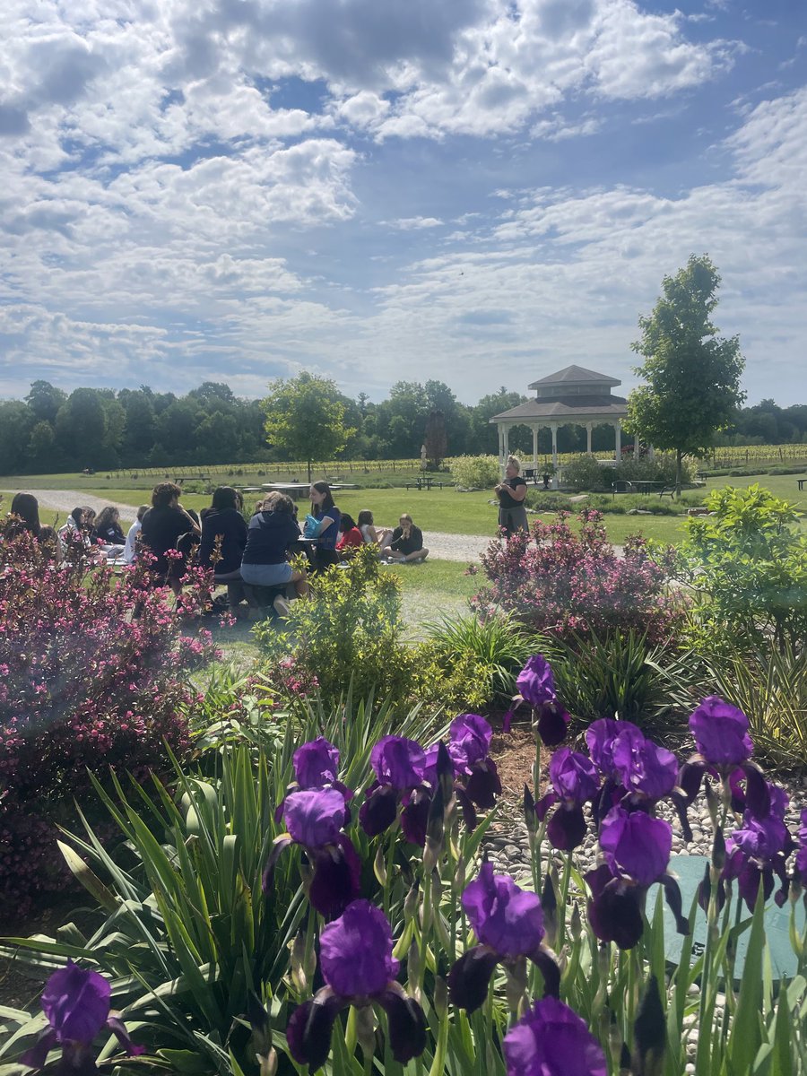 BHNCDSB French tweet media