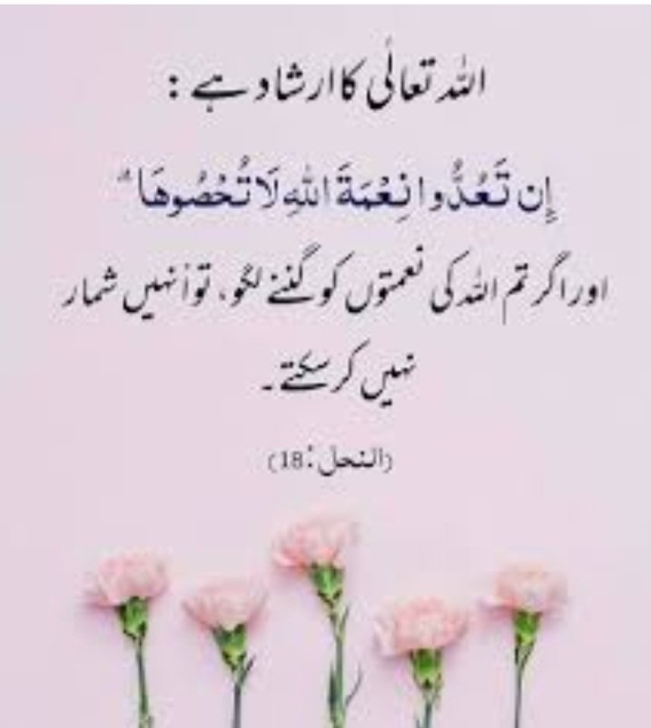 السلام علیکم دوستو ✌️ 
دن کا آغاز قرآن پاک کے ساتھ 🌹✨️⚘️