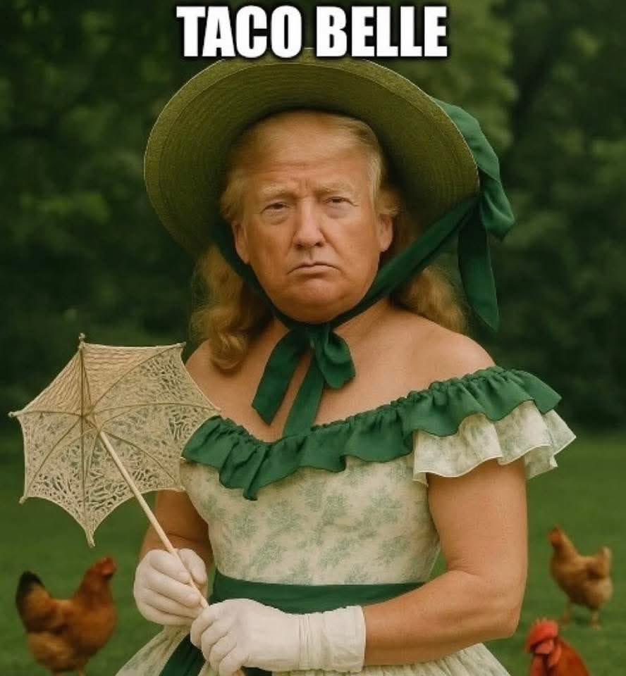 TACO Belle

#TACOTrump #TacoBelle