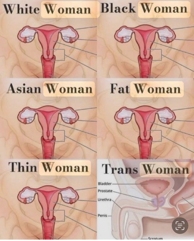 Melindaashx's tweet image. Self explanatory 😂