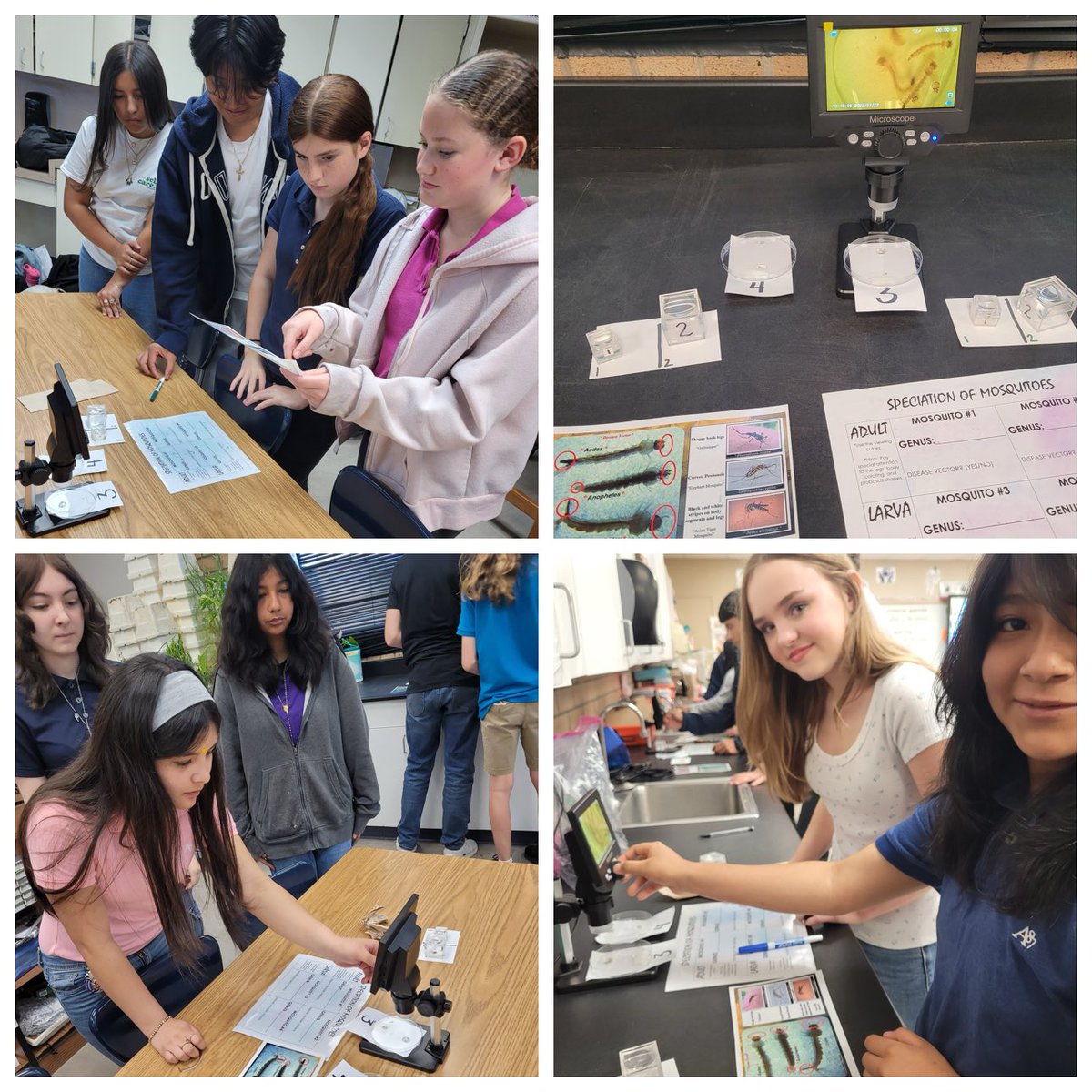 Teaching &amp; Learning from the 1st day of school until the last day in Ms. Stevens’ class! #EveryStallionEveryDay