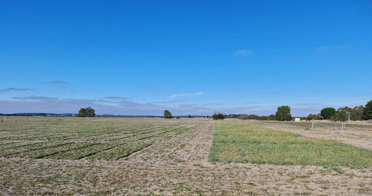 Stuart Kemp tweet media