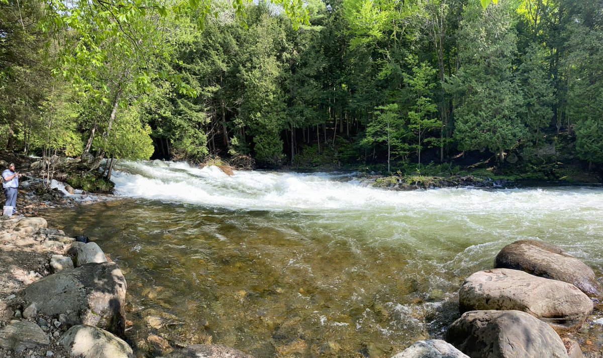 Rick Parnham tweet media