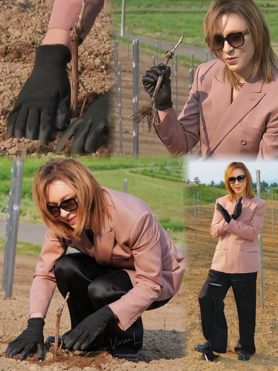 เผบ๊ง๐ก๊ช๐๐ง๐๐๐โฅ๐๐ก๊งเผป (@vivian_xxxxxx) on Twitter photo When I saw you put a grape seedling carefully into the soil. I can feel yr LOVE & PASSION in making wine or doing everything about music & artโฅ๏ธ
#Yoshiki Youโre my role model as I told U before on Yoshiki+๐ฅฐLetโs try our best๐ช๐ป๐ท
Thank you <a href="/YoshikiOfficial/">Yoshiki</a> & thanx for yr repost๐น When I saw you put a grape seedling carefully into the soil. I can feel yr LOVE & PASSION in making wine or doing everything about music & artโฅ๏ธ
#Yoshiki Youโre my role model as I told U before on Yoshiki+๐ฅฐLetโs try our best๐ช๐ป๐ท
Thank you <a href="/YoshikiOfficial/">Yoshiki</a> & thanx for yr repost๐น