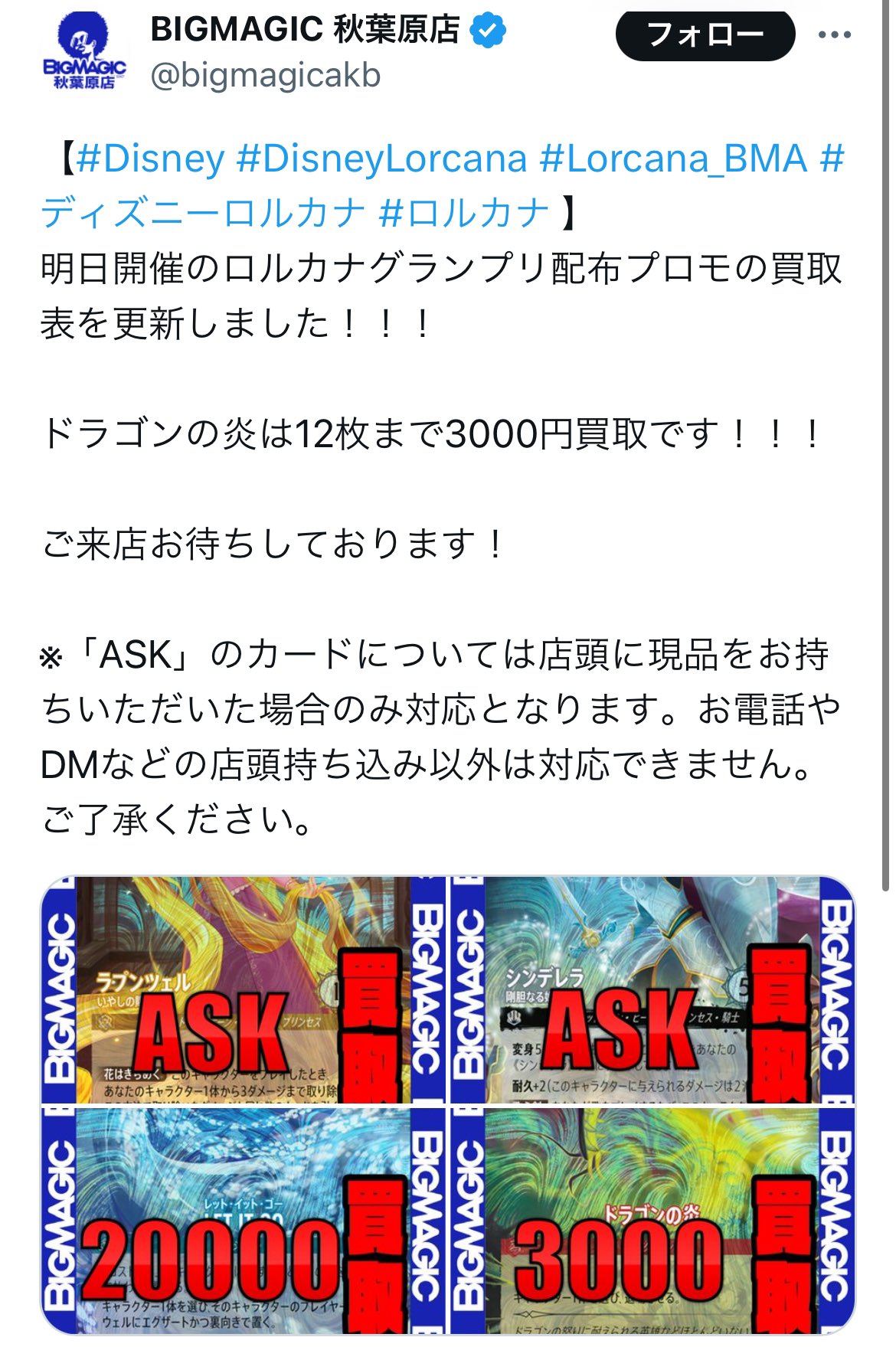 ドラゴンの炎 ロルカナ GP入場特典