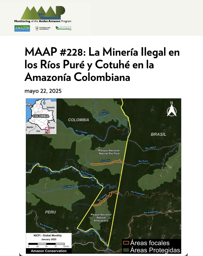 #MAAP228 | Enfocado en el noroeste de la #Amazonía, específicamente la región de la triple frontera entre Colombia, Brasil, y Perú. En dicha zona, las actividades de #mineríailegal impactan varios ríos que conectan estos países | <a href="/ACA_DC/">Amazon Conservation</a> <a href="/FcdsOrg/">Fundación para la Conservación y el Desarrollo</a> 

maapprogram.org/es/mineria-ile…