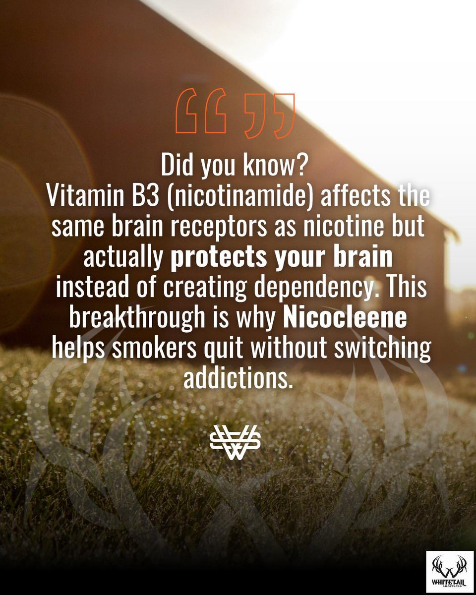 😲 Have you ever wondered why quitting nicotine feels IMPOSSIBLE?

I spent years researching this question, and what I discovered changed everything.

Did you know? Vitamin B3 (nicotinamide) affects the SAME brain receptors as nicotine—but with one crucial difference.

Instead of