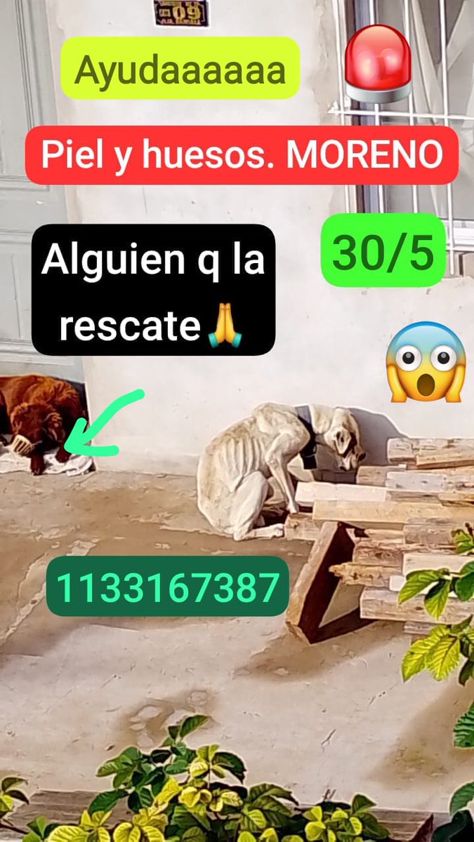 Rt
Urgente