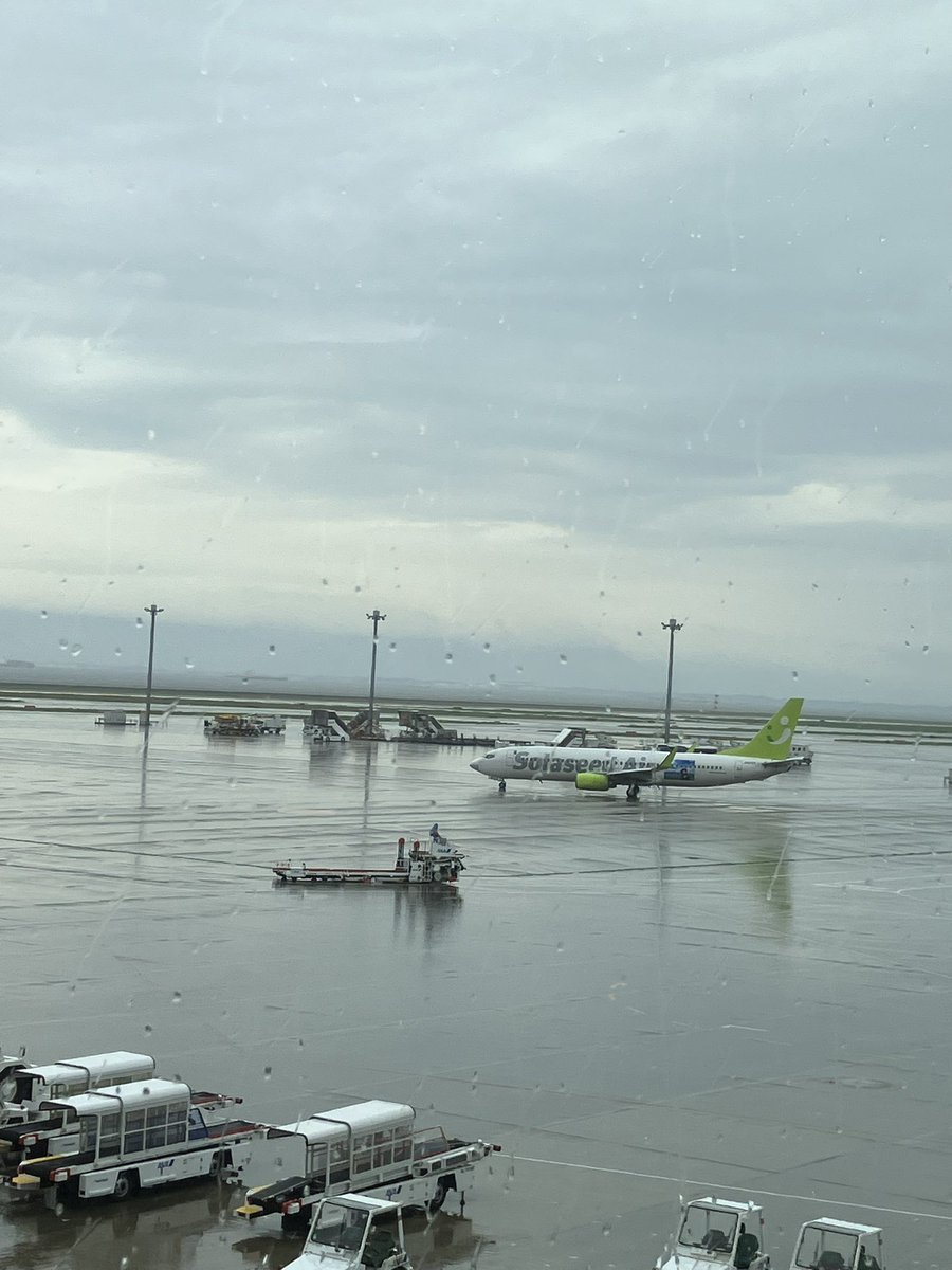 yoshiki0403's tweet photo. 久々の石垣行きです✈️
現地は何か変わったことありますかね🏝️ https://t.co/79CzgONw4z