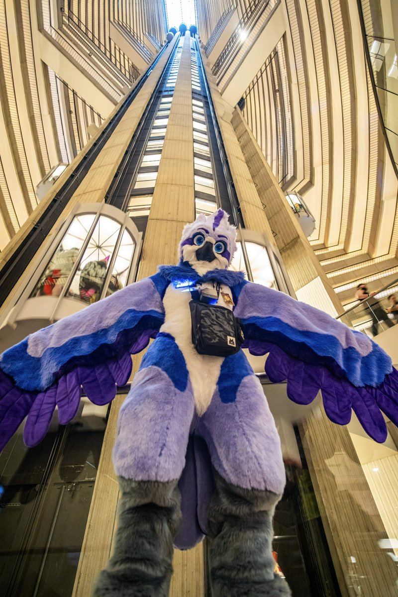 Happy #FursuitFriday! Can’t get enough of these FWA photos.

📸:<a href="/VenturaOsprey/">Ventura The Osprey👉AC</a>