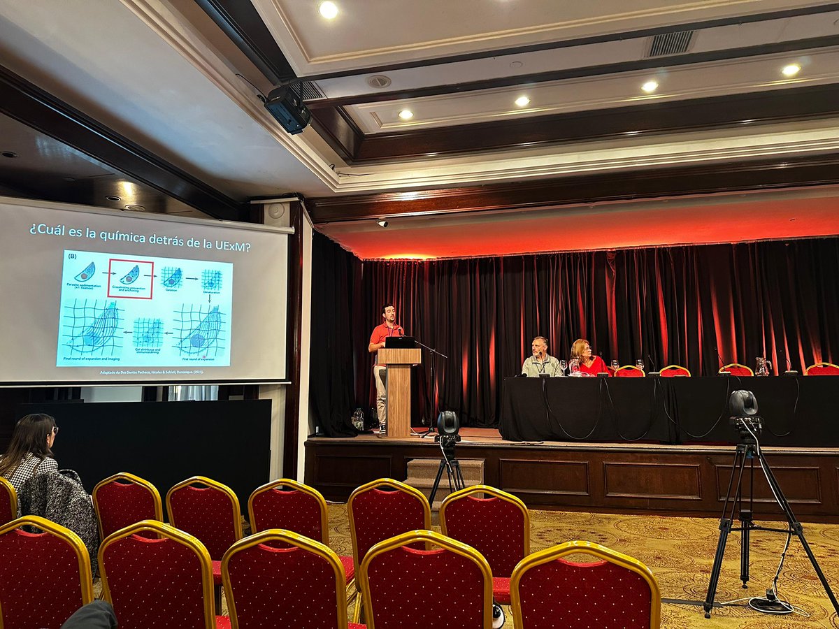 Ramiro Tomasina tweet media