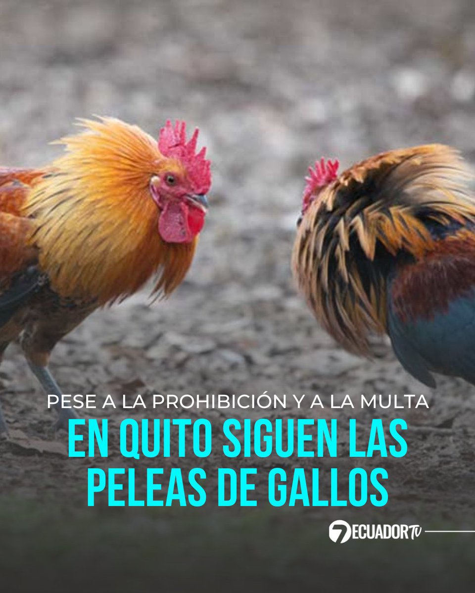 Cris Alarcón tweet media