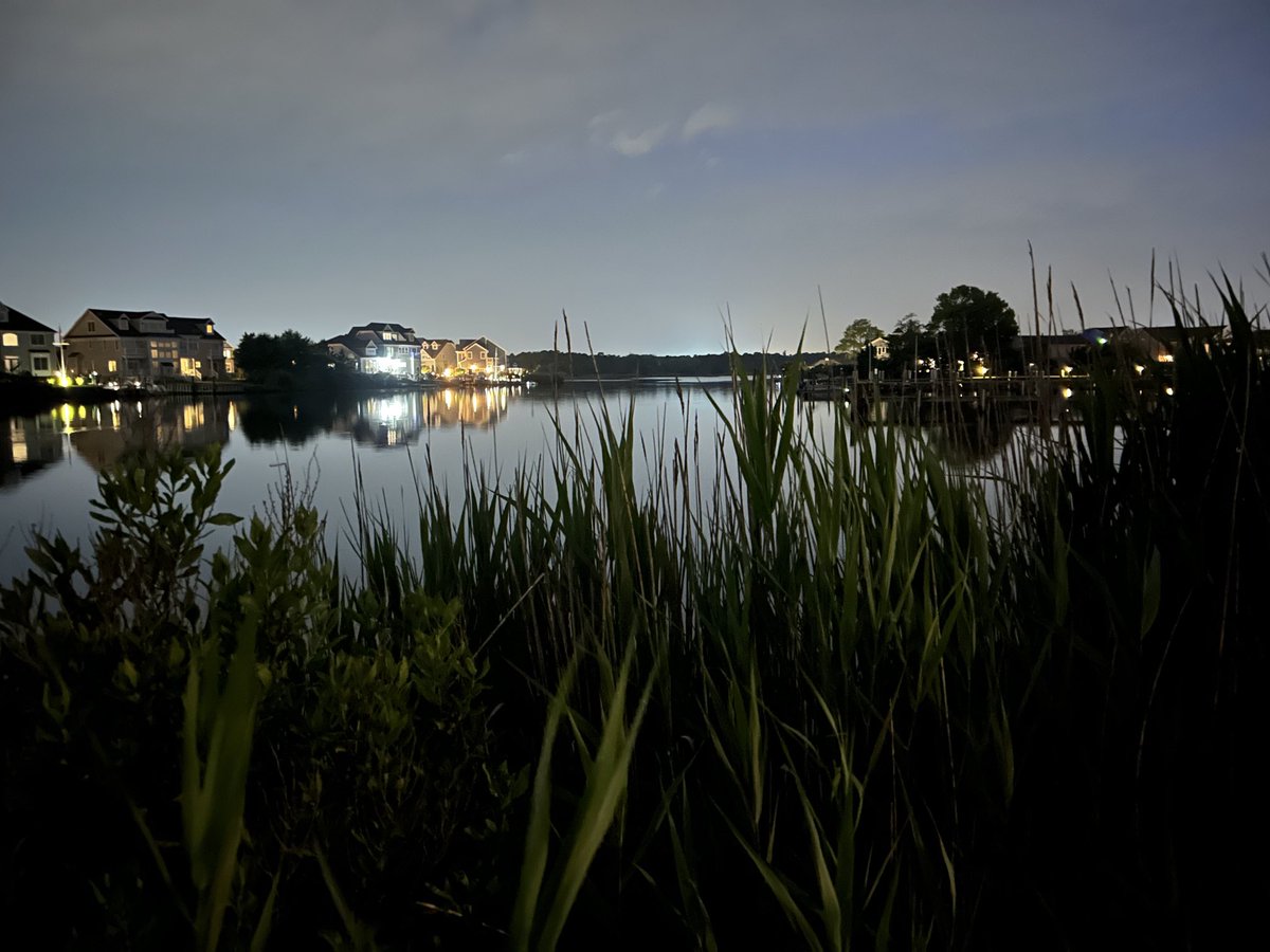 Serene … #RecoveryPosse