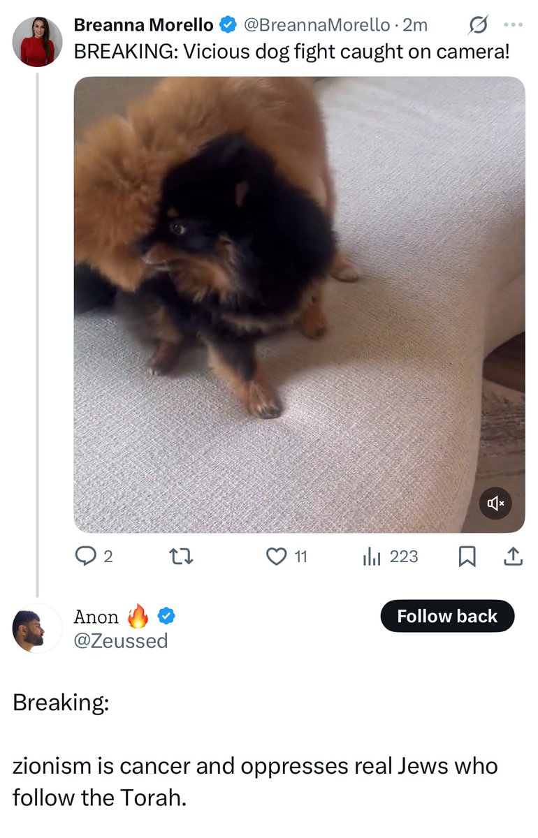 Not even videos of my dogs playing is safe on this platform. 

🤣