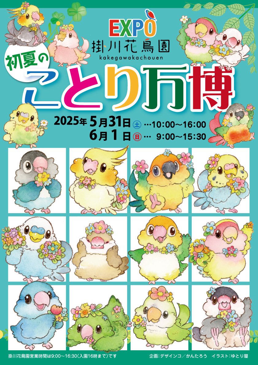 掛川花鳥園で開催の「初夏のことり万博」
初日スタートしました
朝からたくさんのご来園、本当にありがとうございます
戦利品報告はハッシュタグ #ことり万博 を使ってください
「初夏のことり万博」は本日16時までの開催、閉園16時30分です
鳥好きさんの聖地「掛川花鳥園」でご来園お待ちしていまーす