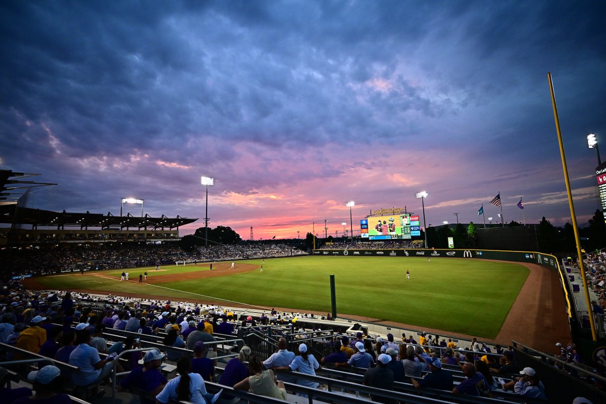 Pink Skies At Night, Tigers' Delight