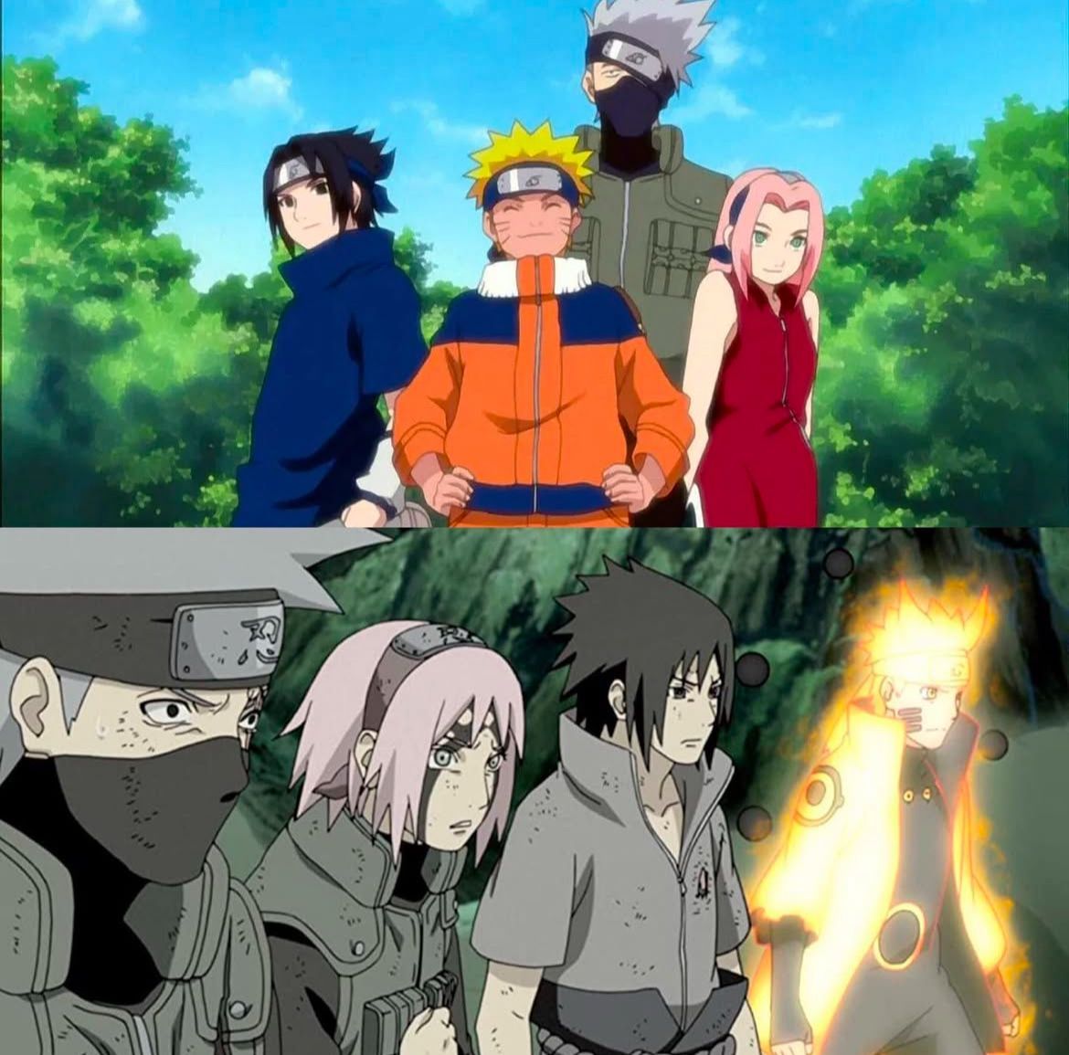 Team 7