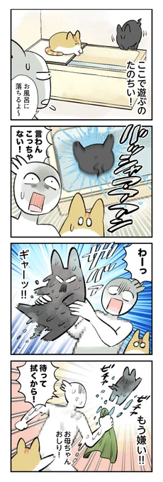 スイちゃん、はじめてのお風呂(?) 