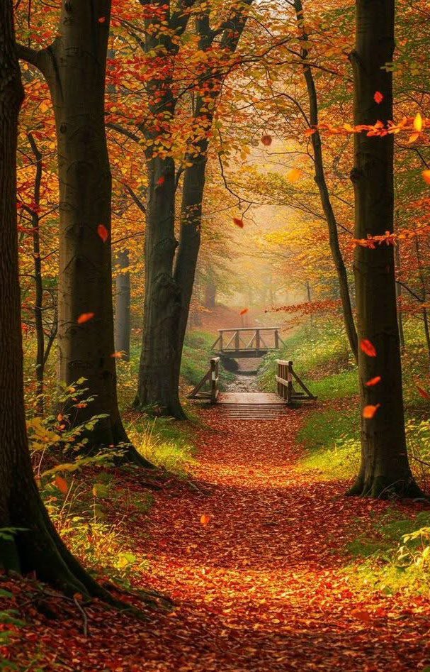 Incredible nature ♥️