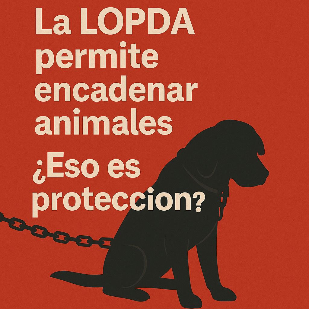 <a href="/camileonok/">Camila León</a> La LOPDA permite que animales permanezcan encadenados sin considerar su bienestar.
¡Eso es un retroceso!
#ArchivaTuLOPDA #CamilaArchivaLOPDA <a href="/NielsOlsenP/">Niels Olsen</a> <a href="/DanielNoboaOk/">Daniel Noboa Azin</a> ‼️‼️