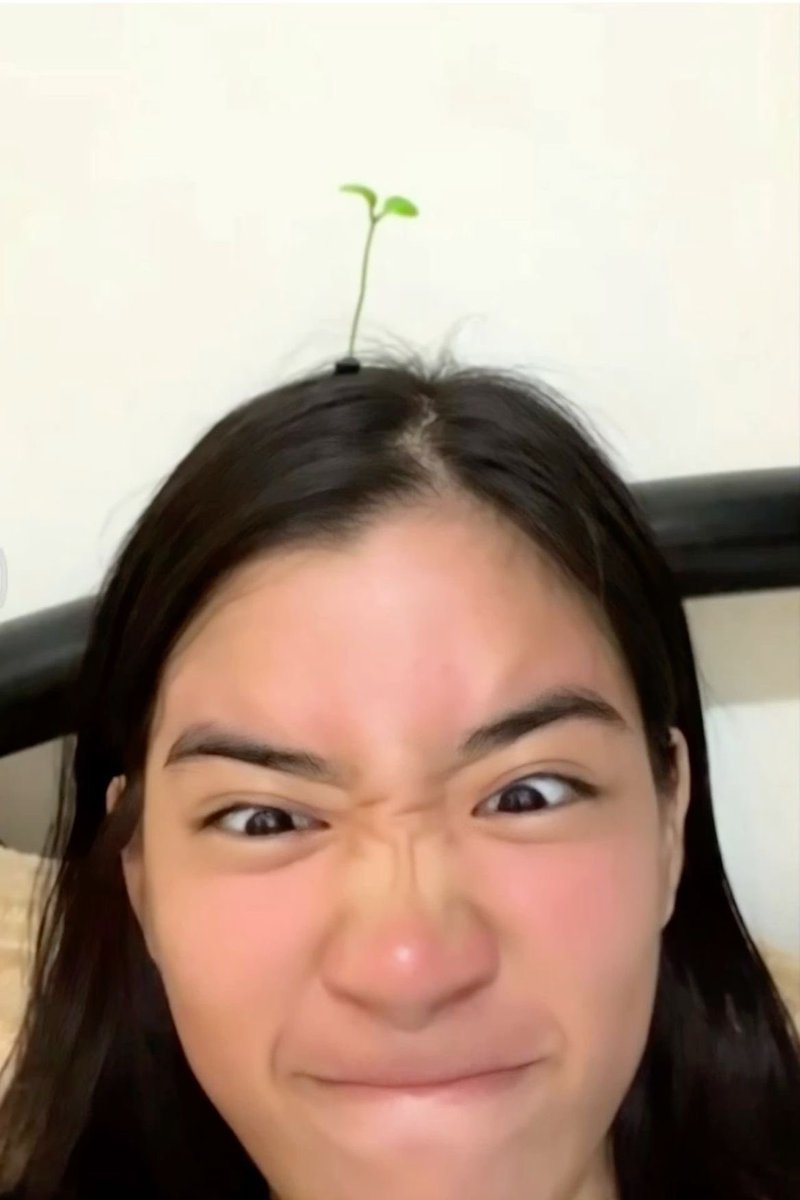 𝜗𝜚 tweet media