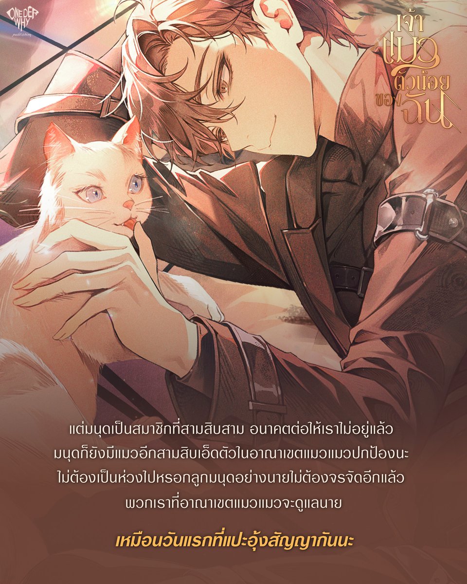 เปาเปา: เราก็เคยเป็นแมวจรจัดมาก่อน เราเข้าใจนาย