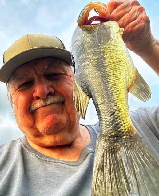 Bass Fishing Tips tweet media