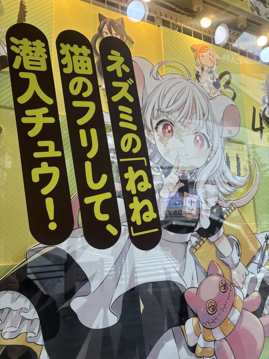 COMIC ZIN秋葉原店様にて、はりかも先生の最新作『11番目のねこはねね
