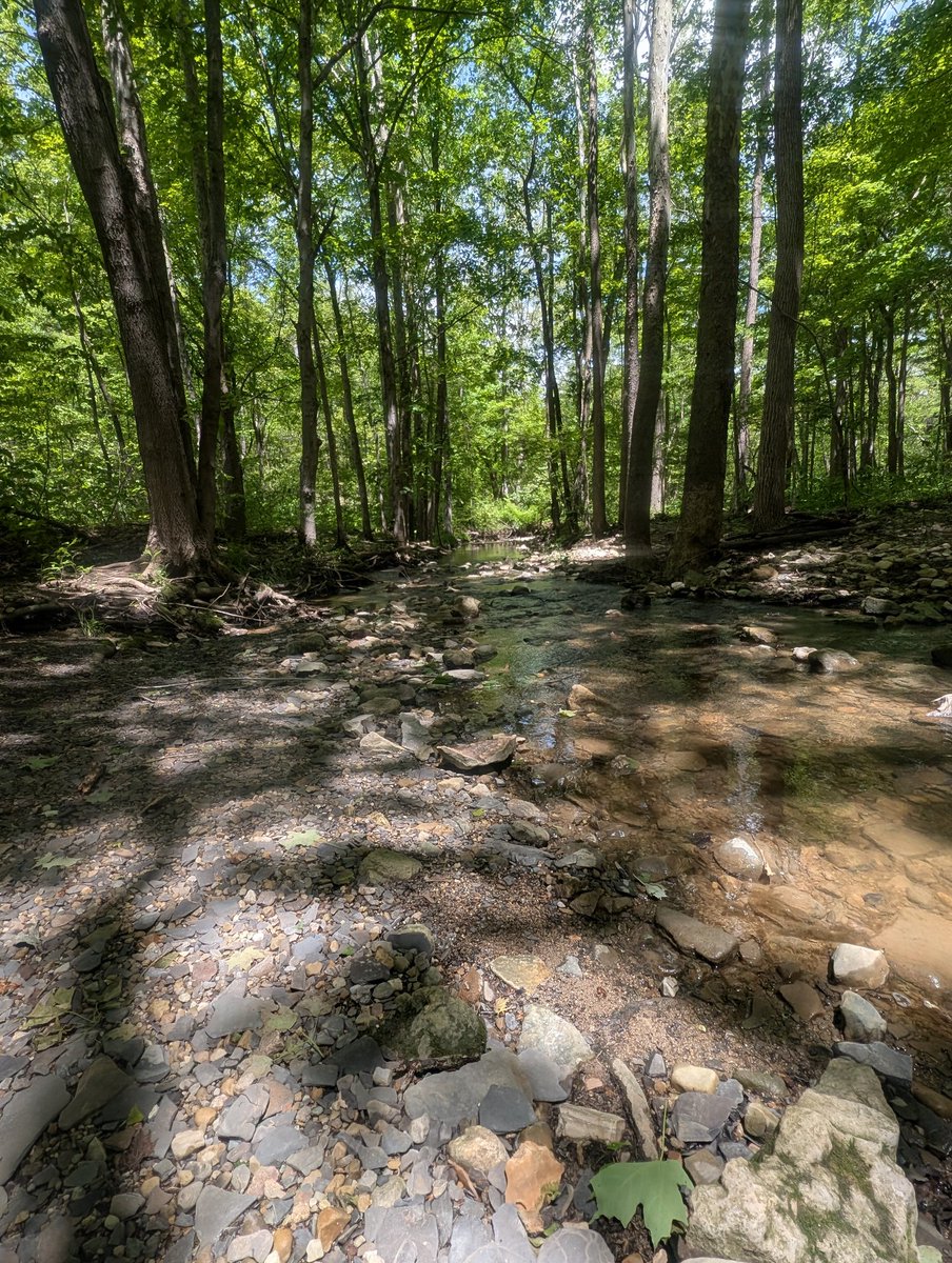 vanillapaste.sol tweet media