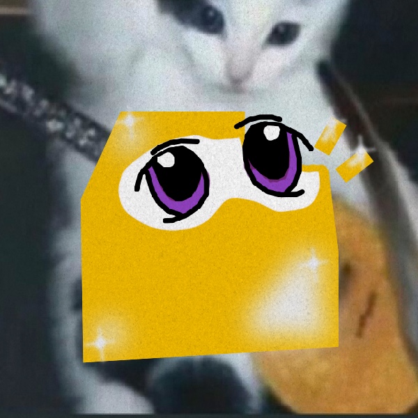 tut™ tweet media