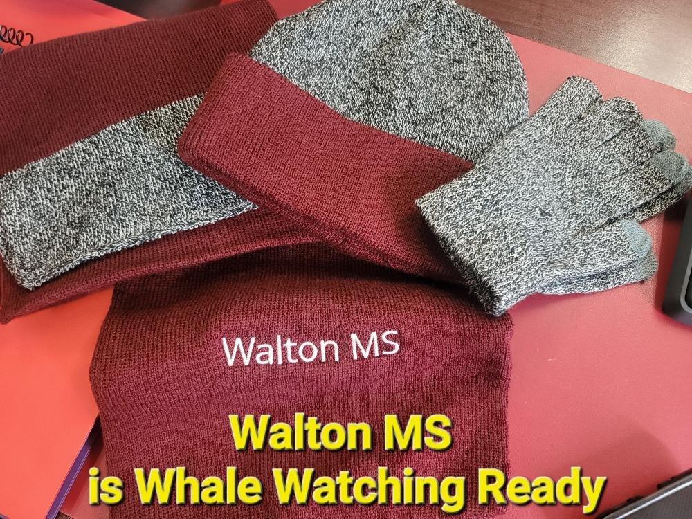 Walton Middle School tweet media