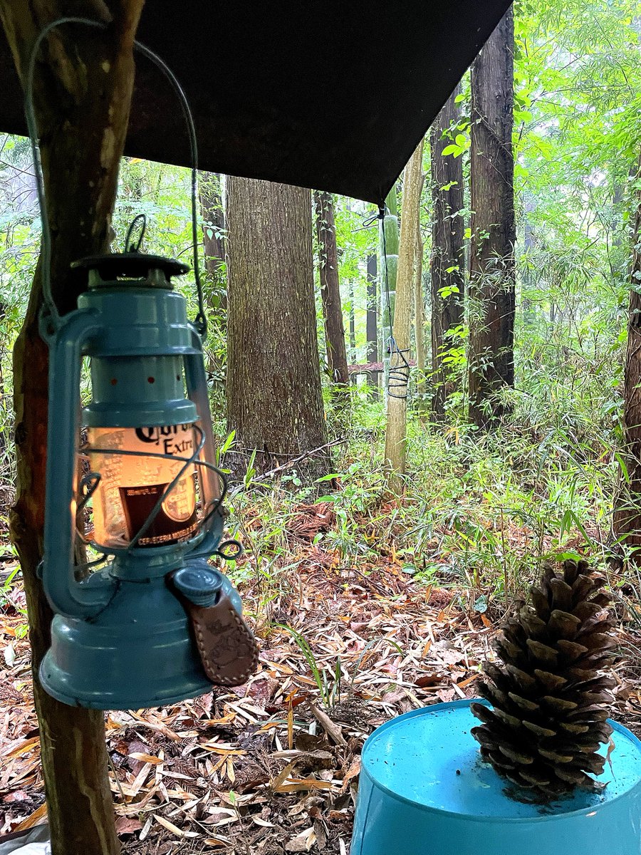 so_ra_zousan's tweet photo. 再び雨が降ってきて帰るタイミングを失ったから
湿気った薪に一生懸命働いてもらってる

2年間張りっぱなしのゴッドタープは未だに雨や落木から守ってくれる

明け方帰る気持ちでゆっくりしよう

 #開き直り
 #エクストリーム出社
 #カッパ取りに行くのもめんどい
 #雨キャン
 #8tail
 #FOb https://t.co/dnSxUmoAf7