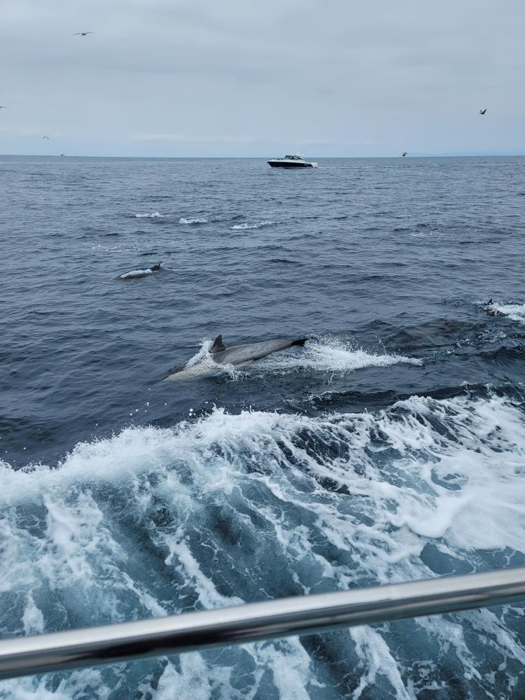 Walton Middle School tweet media